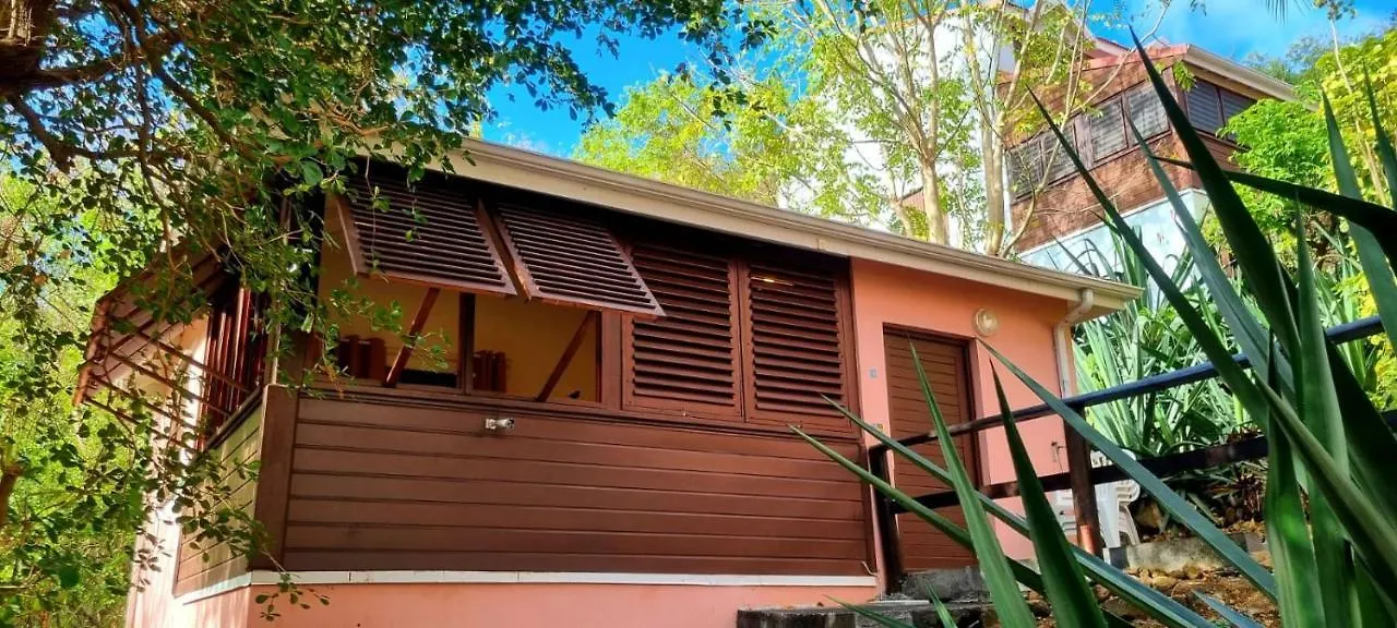 Bungalow Et Duplex De Island Bay Bouillante Guadeloupe