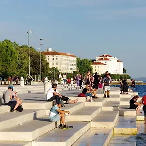 Martina Zadar